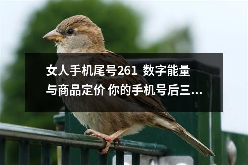 女人手机尾号261  数字能量与商品定价 你的手机号后三位有凶星数吗1