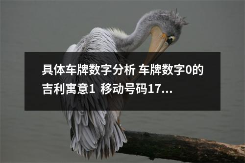 具体车牌数字分析 车牌数字0的吉利寓意1  移动号码178号码能量1