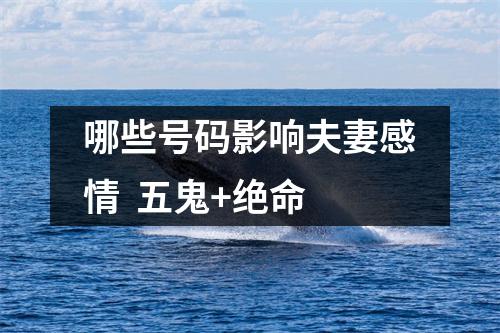 哪些号码影响夫妻感情  五鬼+绝命